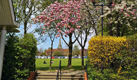 Luxford Field viewed from the steps in front of the civic centre