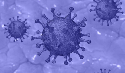 Coronavirus image